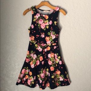 Floral Skater Dress